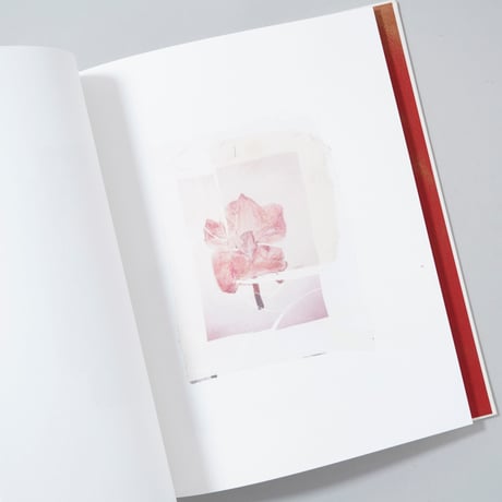 [新刊/New] Swaying Flowers / Ayaka Endo(遠藤文香)