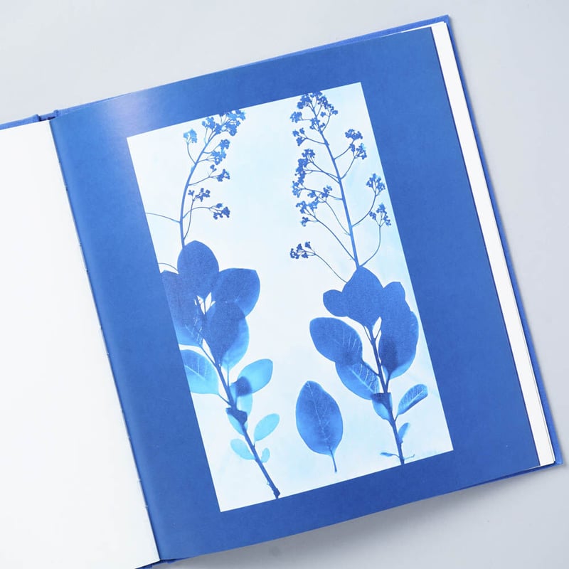 洋書 Blue Prints Zeva Oelbaum BLUE PRINTS / Zeva Oelbaum (セヴァ・オエルバム) | bookob