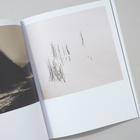 [新刊/New]Daytime and Distant / Adam Friedlander(アダム・フリードランダー)