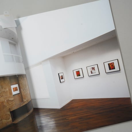 William Eggleston Paris-Kyoto (ウィリアム・エグルストン パリ-京都)  / William Eggleston (ウィリアム・エグルストン)