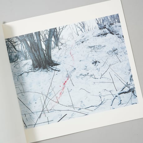Trails / ホンマタカシ(Takashi Homma)