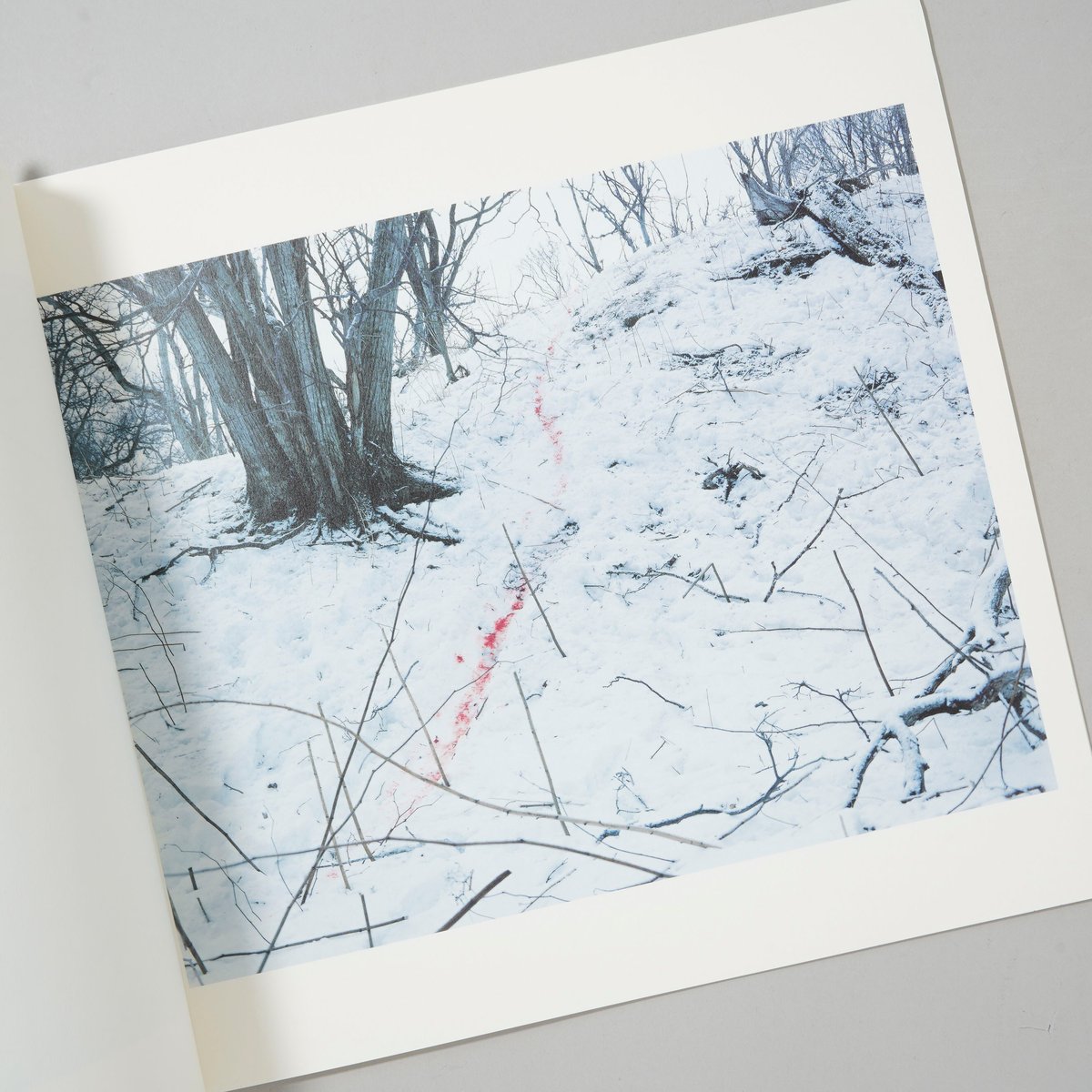 Trails / ホンマタカシ(Takashi Homma) | bookobscura｜写真