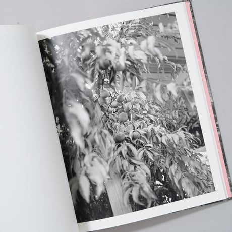 [新刊サイン入/New,Signed]LET ME SOW LOVE / Roger Richardson(ロジャー・リチャードソン)