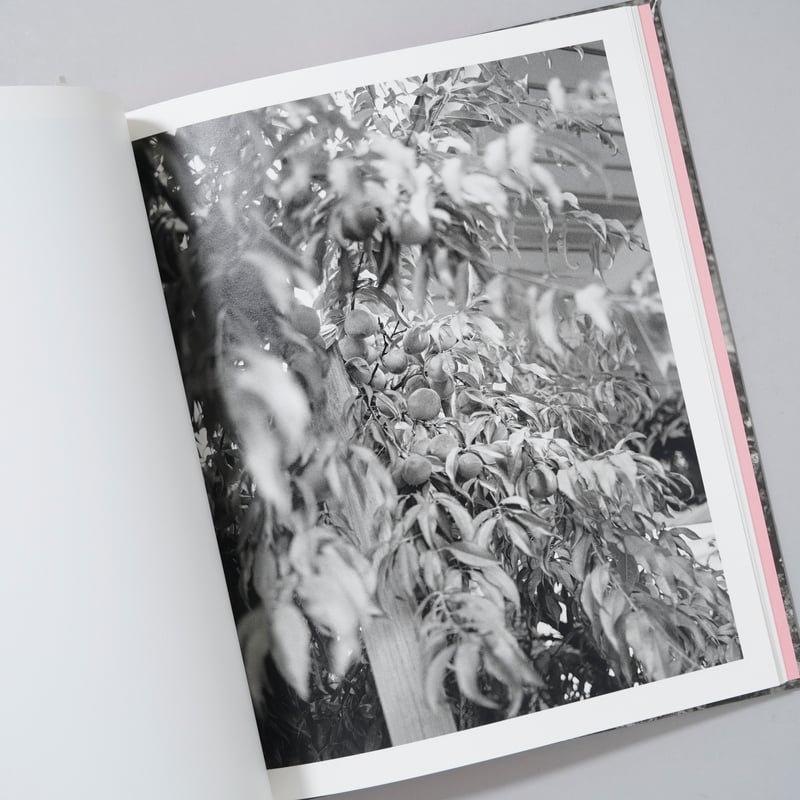 新刊サイン入/New,Signed]LET ME SOW LOVE / Roger Rich