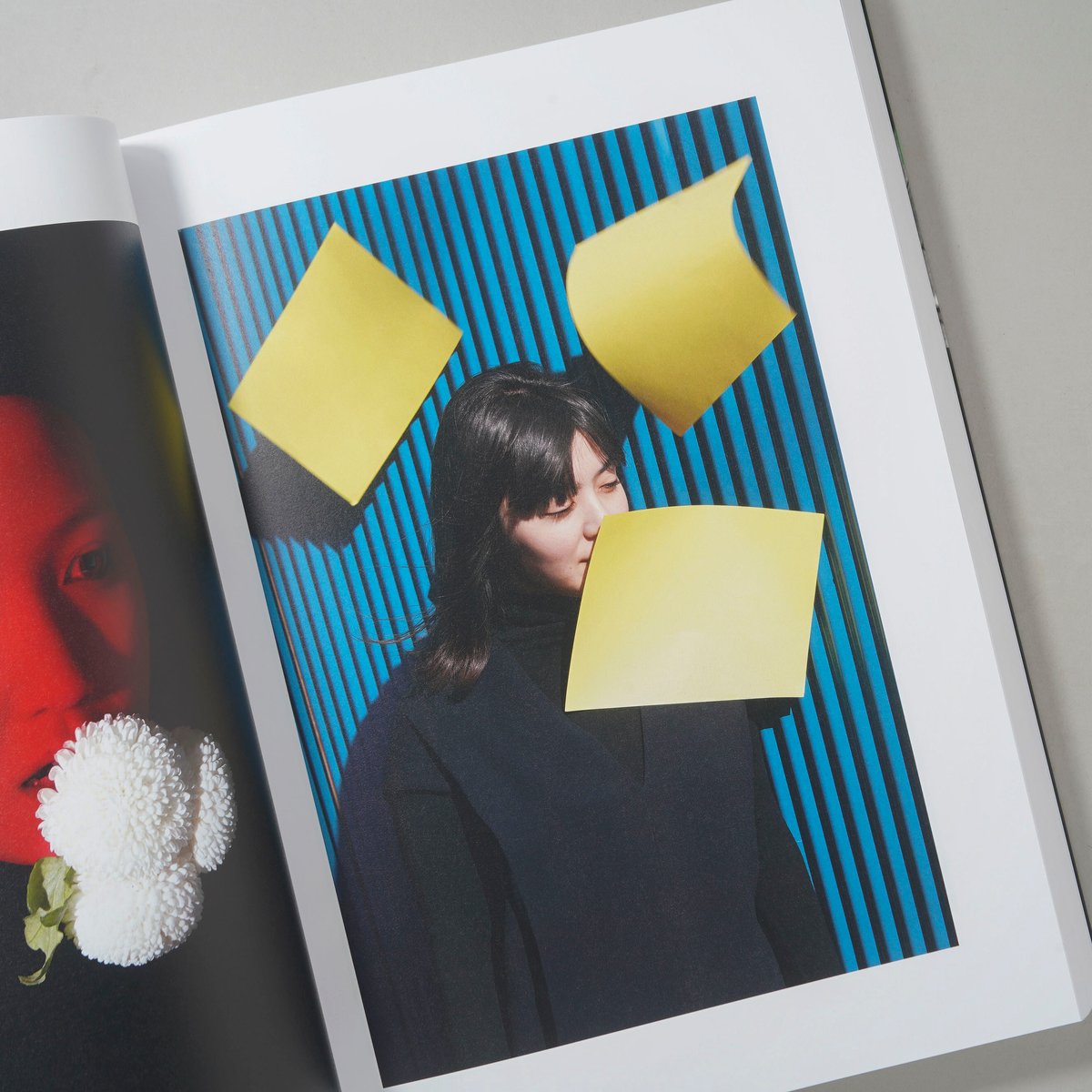 PHOSPHOR / Viviane Sassen(ヴィヴィアン・サッセン) | bookob