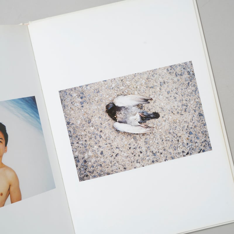 REN HANG 写真集 SIGNED 献呈サイン入/Dedicated Sign] New Love / Ren Hang(レン・