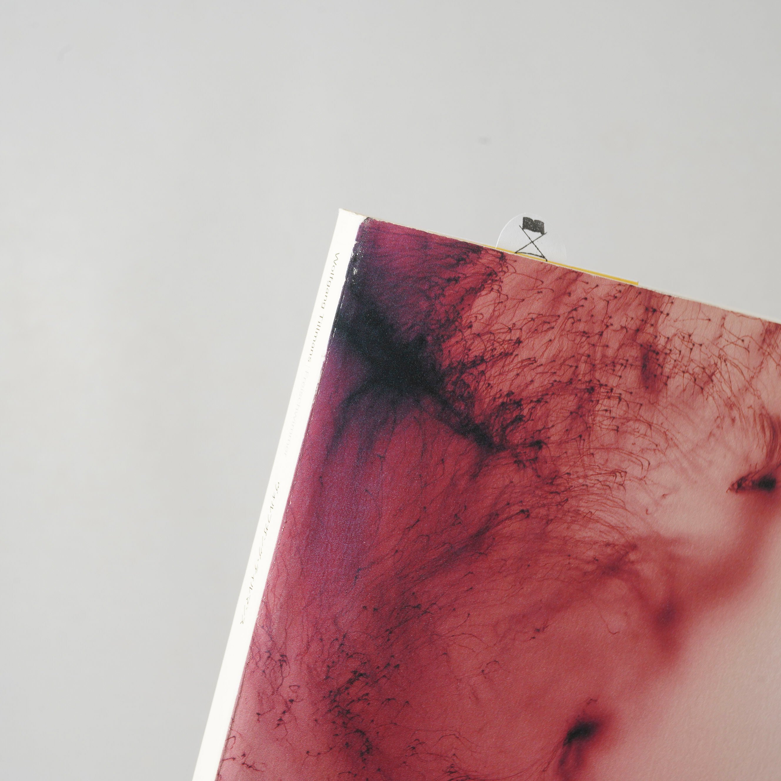 Freischwimmer / Wolfgang Tillmans(ヴォルフガング・ティルマン