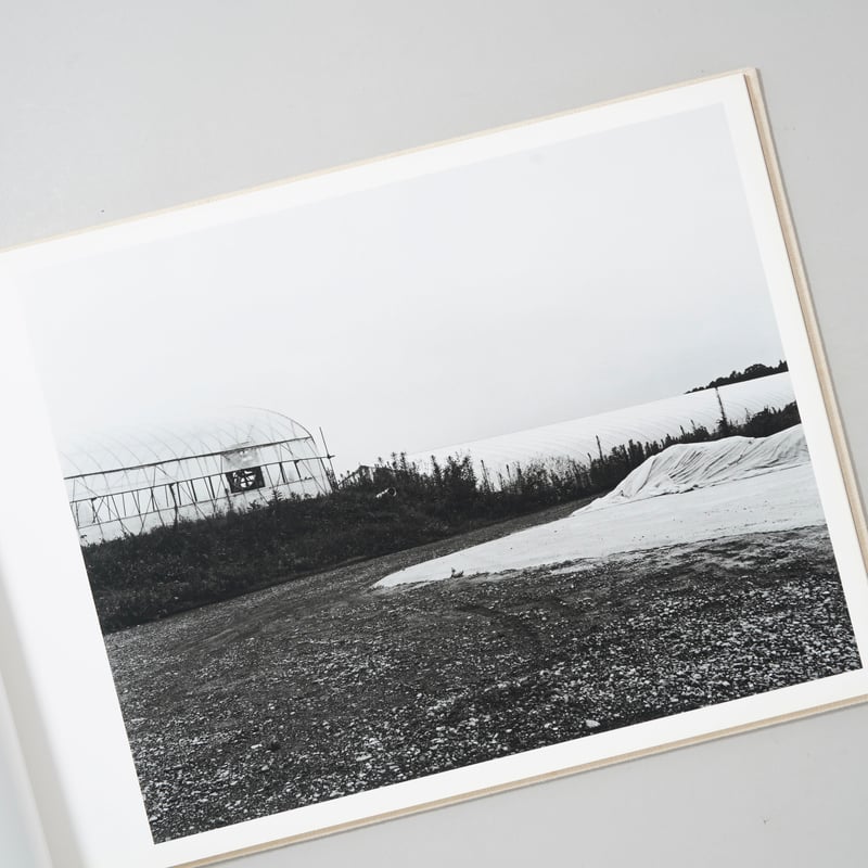 村越としや　「大きな石とオオカミ　特装版」 新刊サイン入/New,Signed] 大きな石とオオカミ / 村越としや