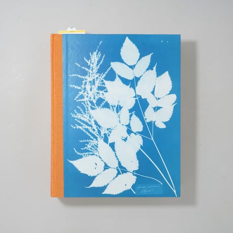 CYANOTYPES / ANNA ATKINS(アナ・アトキンス)