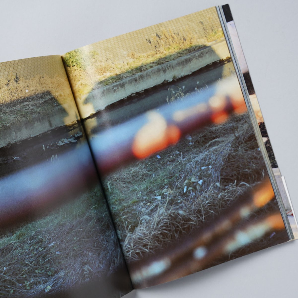 Tokyo and my Daughter / ホンマタカシ(Takashi Homma) |...