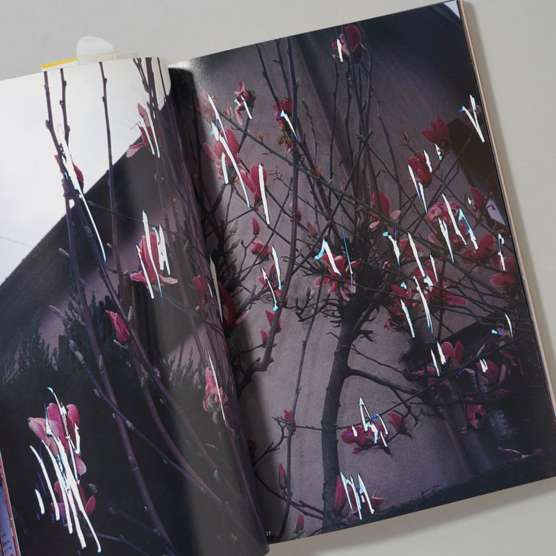 荒木経惟写真全集 第14巻 猥褻寫眞と濹汁綺譚 / 荒木経惟(Nobuyoshi