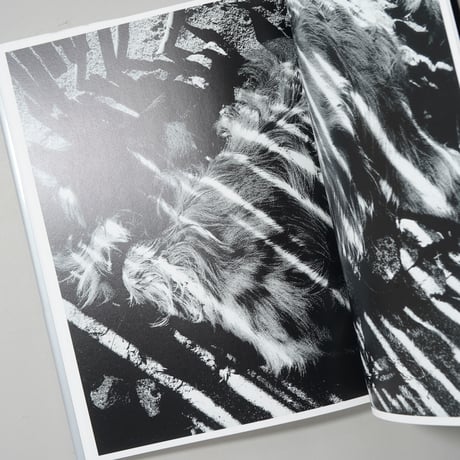 森山大道写真集成 4 光と影 / 森山大道(Daido Moriyama)