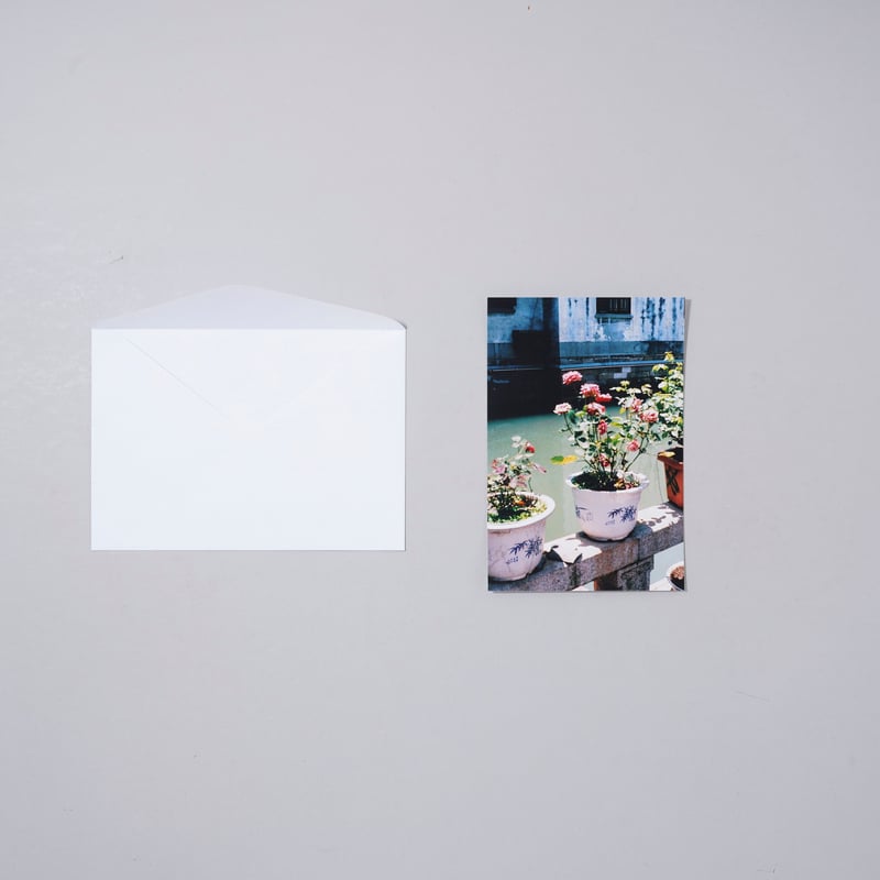 新刊サイン入/New,Signed]花と散る ドリームナビゲーター / 富澤