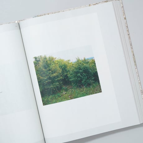 [新刊/New] GATHERED LEAVES ANNOTATED / Alec Soth(アレック・ソス)