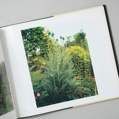 The Gardens at Giverny / Stephen Shore(スティーブン・ショア)