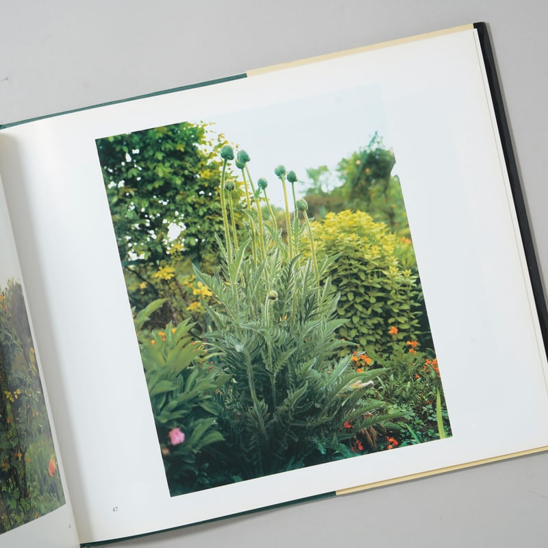 The Gardens at Giverny / Stephen Shore(スティーブン・シ