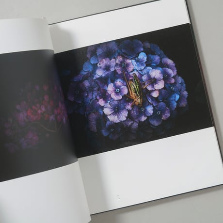 Cascade / 小川康博 (Yasuhiro Ogawa)