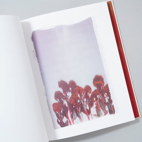 [新刊/New] Swaying Flowers / Ayaka Endo(遠藤文香)