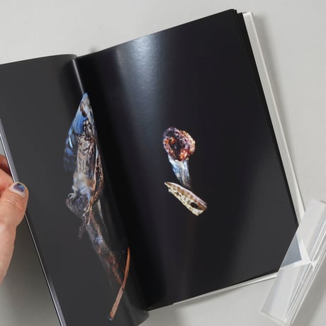 COLLECTION / 内倉真一郎(Shinichiro Uchikura)
