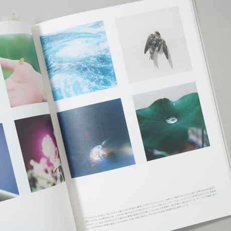 IMA 2019 Autumn Vol.29 川内倫子のまなざし / 川内倫子(Rinko Kawauchi)