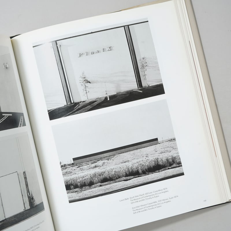 BEAUTY The Twentieth Century 洋書 Cruel and Tender The Real in the 20th Century P