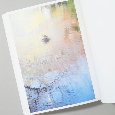 Gift / 川内倫子(Rinko Kawauchi)、Terri Weifenbach(テリ・ワイフェンバック)