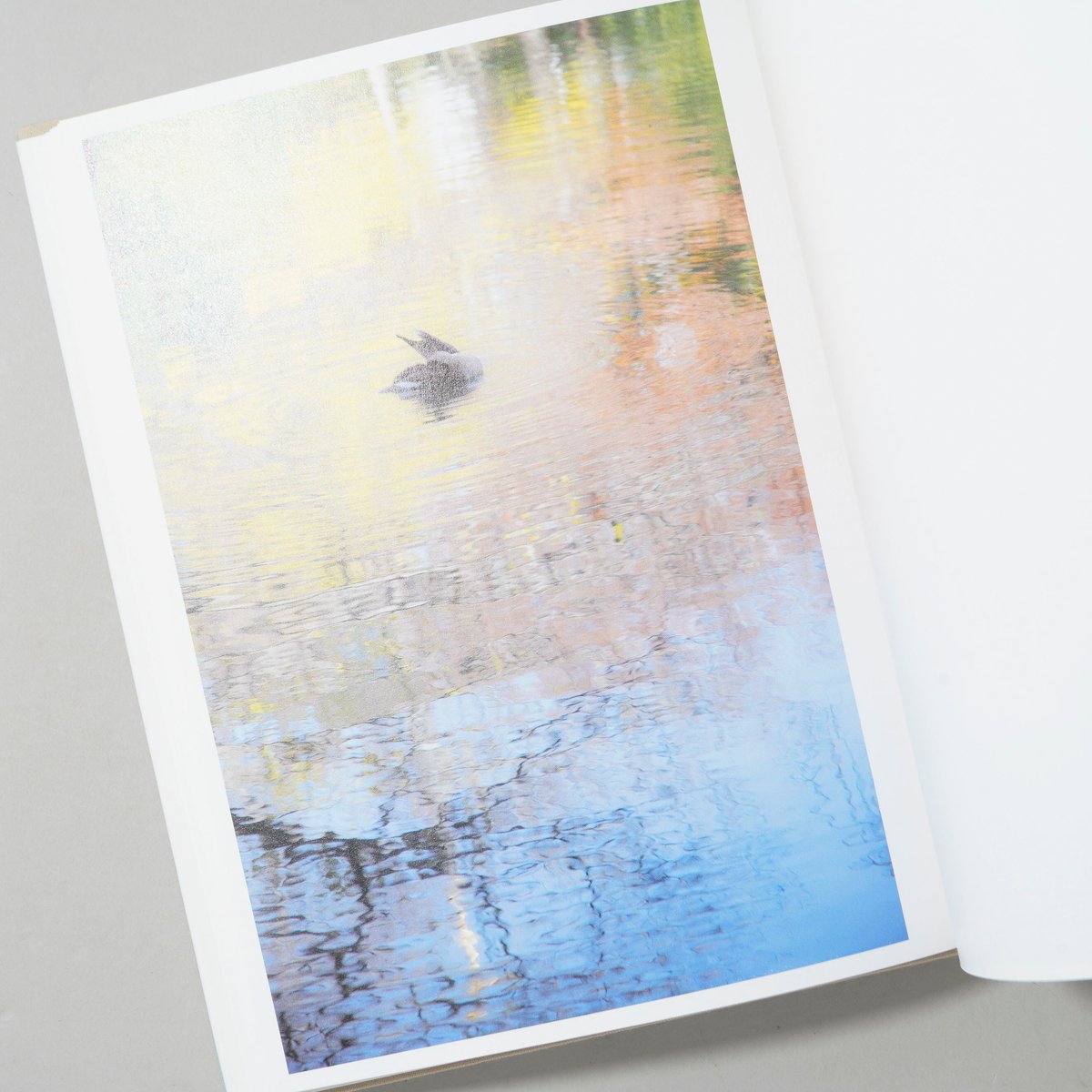 Gift / 川内倫子(Rinko Kawauchi)、Terri Weifenbach(テリ