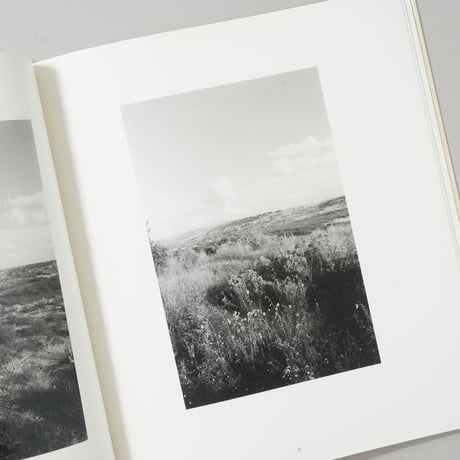 notes for friends / Robert Adams(ロバート・アダムス)