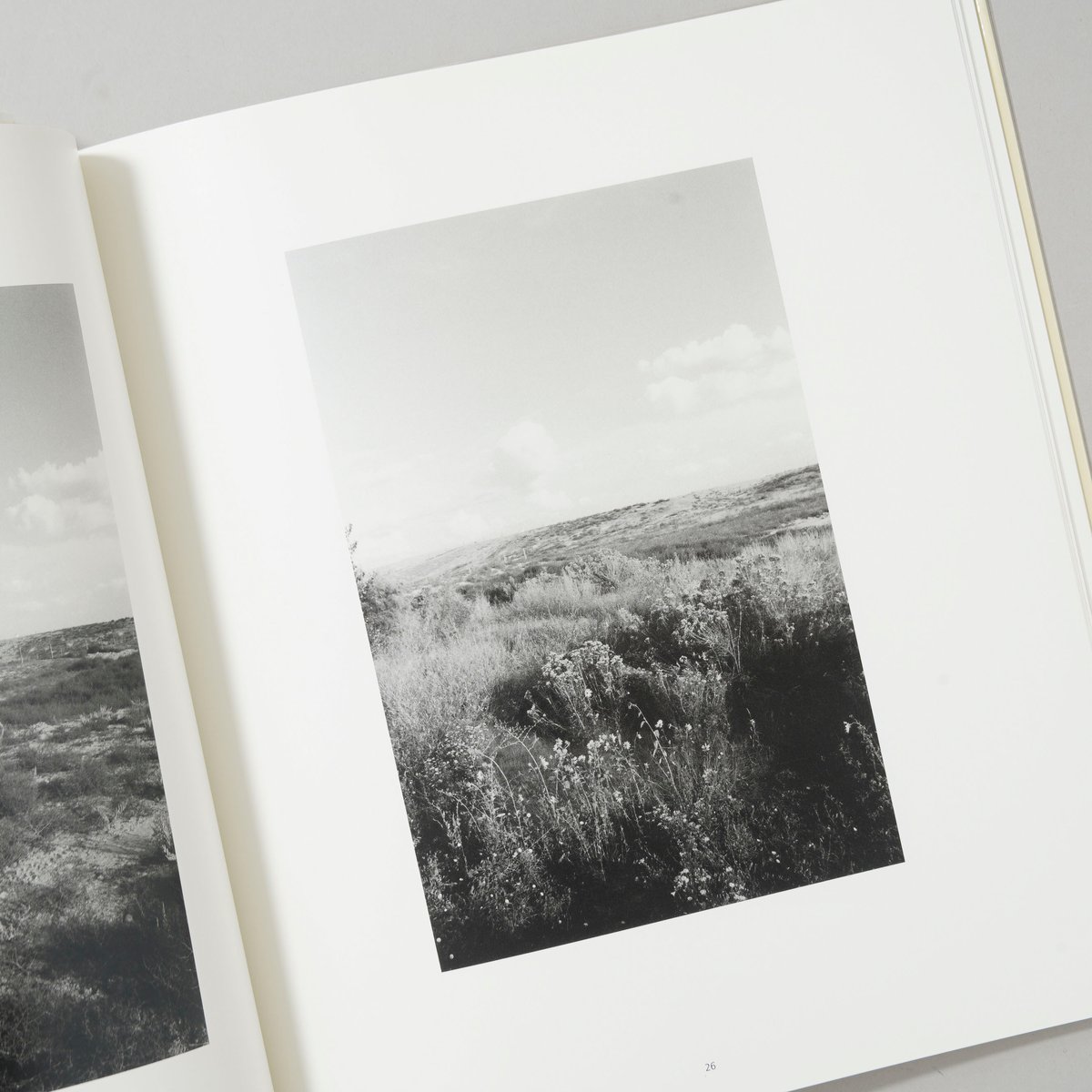 notes for friends / Robert Adams(ロバート・アダムス) | b
