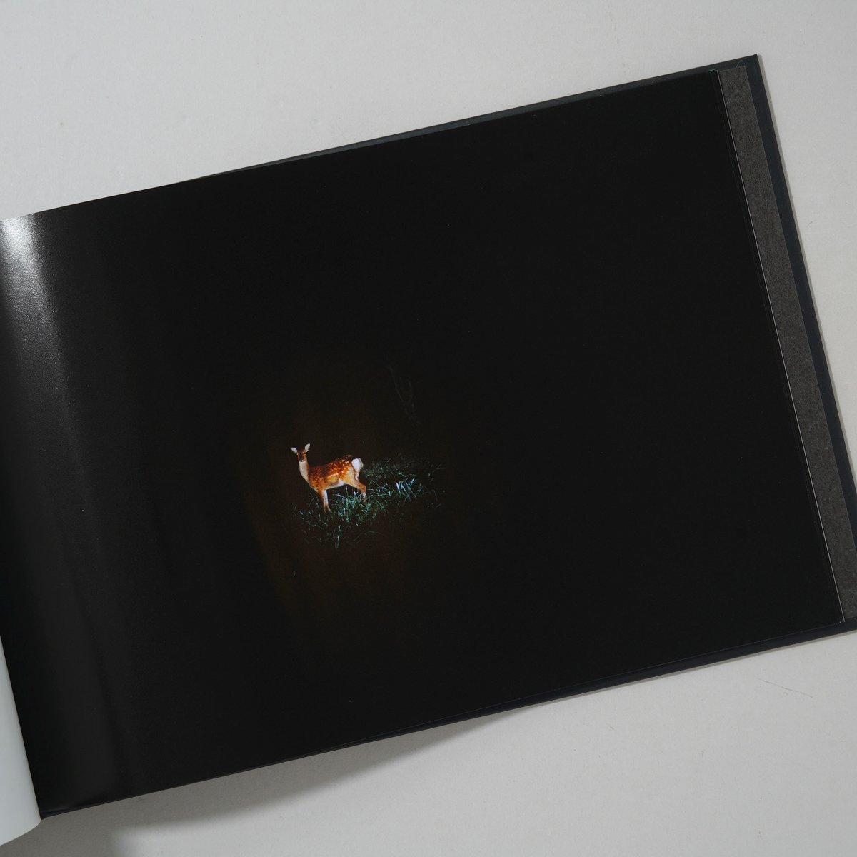 kuragari / 田附勝(Masaru Tatsuki) | bookobscura｜写真