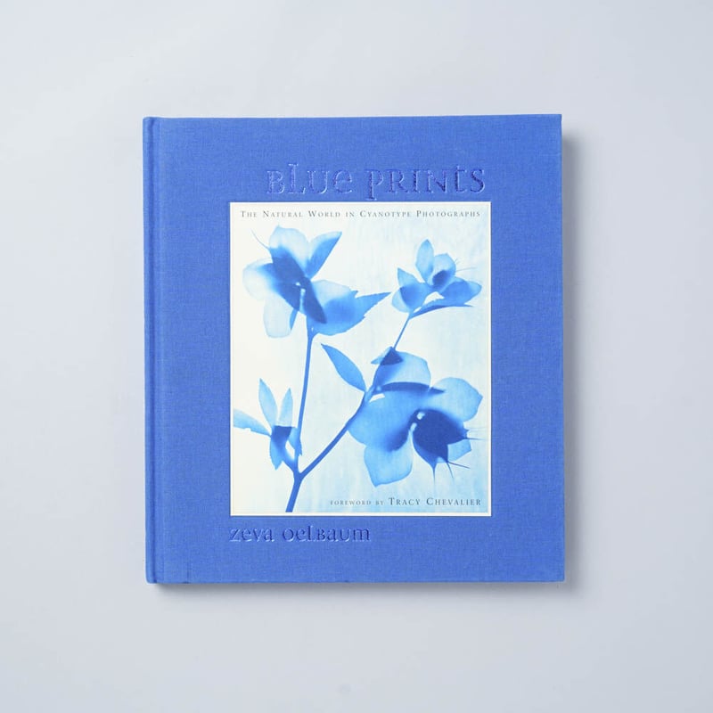 BLUE PRINTS / Zeva Oelbaum (セヴァ・オエルバム) | bookob