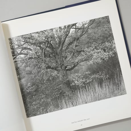 Urban Landscapes / George Tice(ジョージ・タイス)