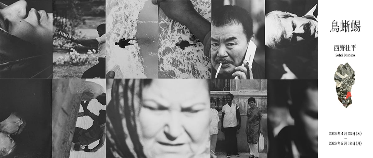 gallery】西野壮平 写真集出版記念展示「鳥蜥蜴」2026.04.23-05.18 |