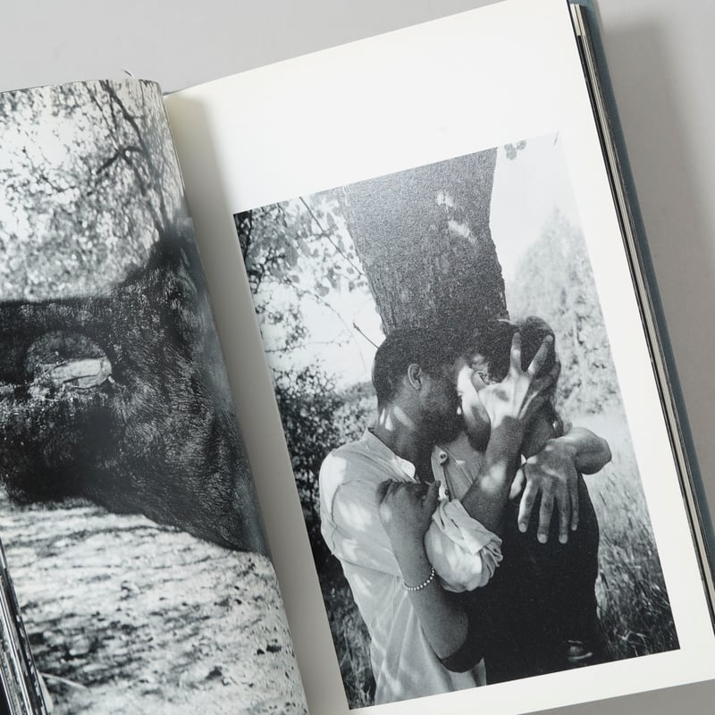 Walter E. Lautenbacher 写真集　稀少本 CATEGORY 2200円以下 | Under 2200 JPY | bookobscura