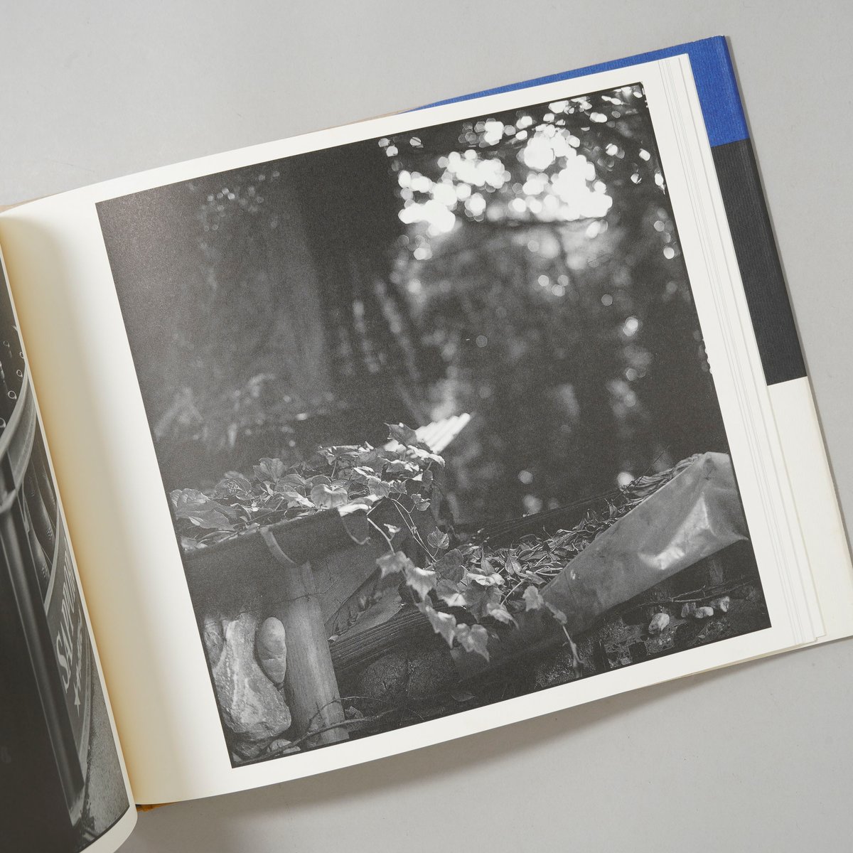 サイン入/Signed] 代官山17番地 / ハービー・山口(Herbie Yamaguch