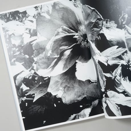 森山大道写真集成 4 光と影 / 森山大道(Daido Moriyama)