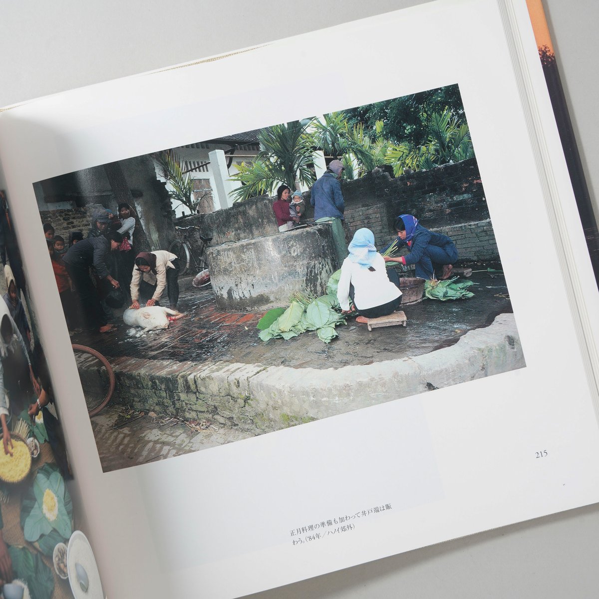 ベトナム凛と / 大石芳野(Yoshino Oishi) | bookobscura｜写真集専