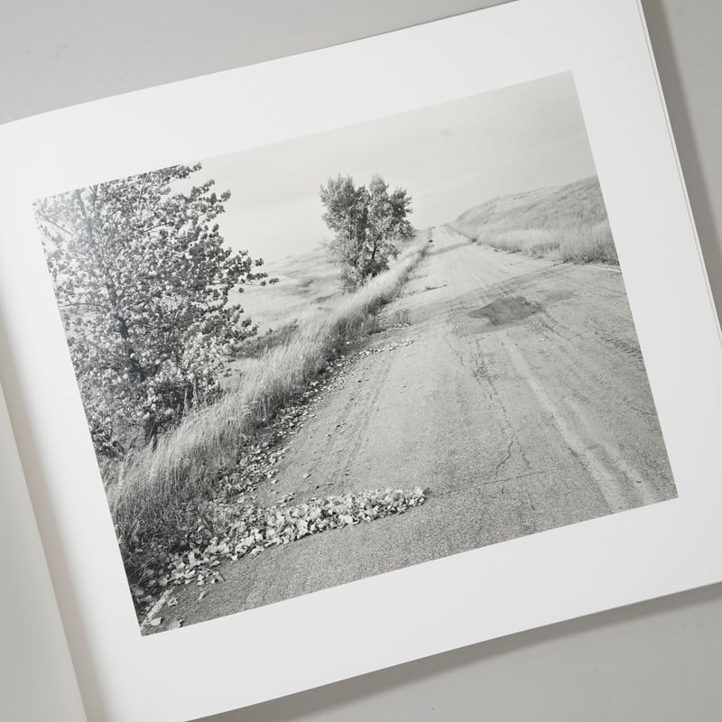 Robert Adams From The Missouri West / Robert Ad