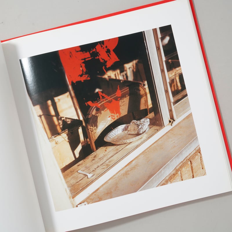 写真集「Lario fine secolo 」イタリアの写真集 写真集「Lario fine secolo 」イタリアの写真集 人気特価 写真集