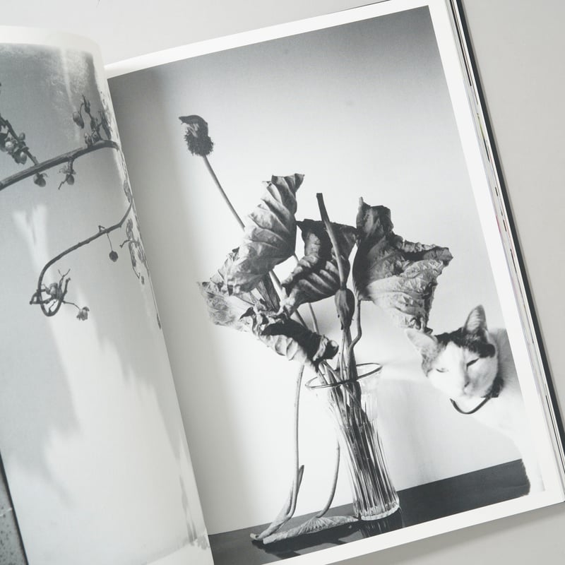 花人生 特別装丁版 / 荒木経惟(Nobuyoshi Araki) | bookobscura