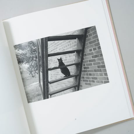 [新刊/New]Summertime / Mark Steinmetz(マーク・シュタインメッツ)