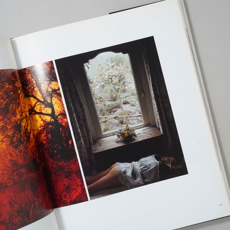 Fashion Etcetera / Sam Haskins(サム・ハスキンス) | b