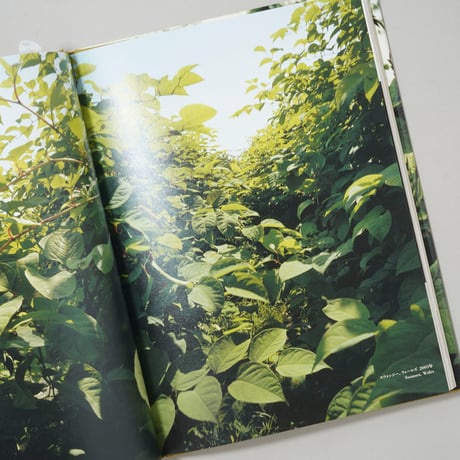 Moving Plants / 渡邉耕一 (Koichi Watanabe)