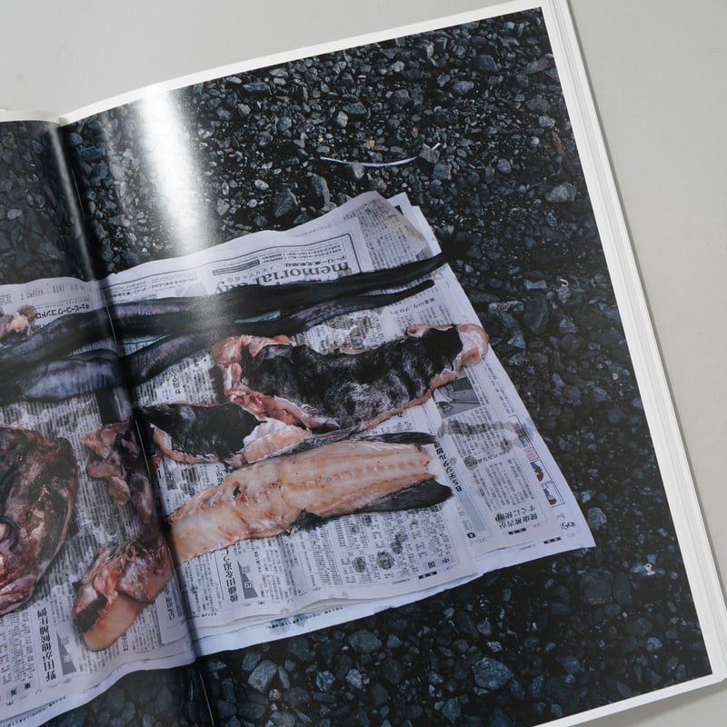 サイン入/Signed] 魚人 Fish-Man / 田附勝(Masaru Tatsuki)