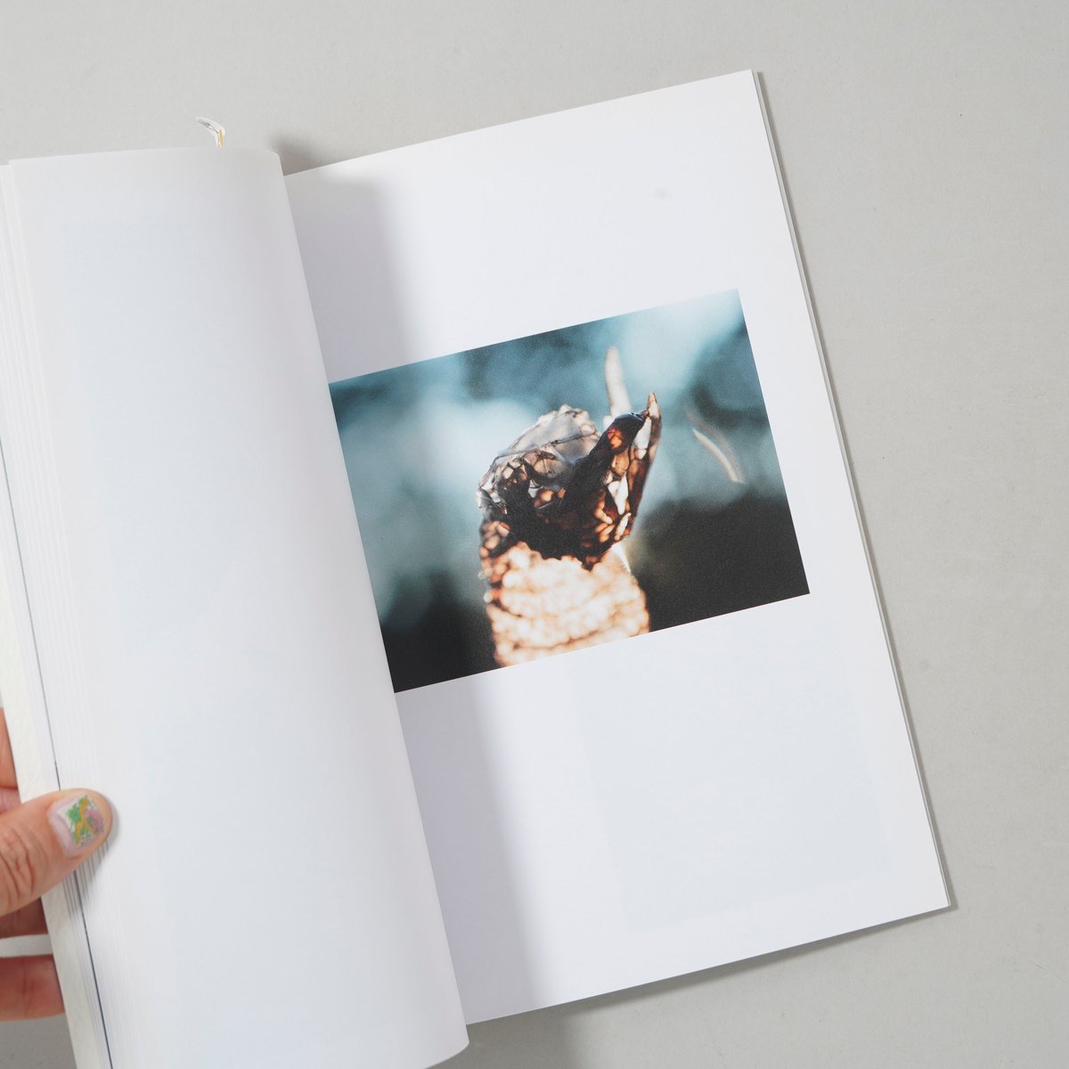 Lina Scheynius My Photo Books リナ　シェイニウス Lina Scheynius 07 / Lina Scheynius(リナ・シェイニウス) |