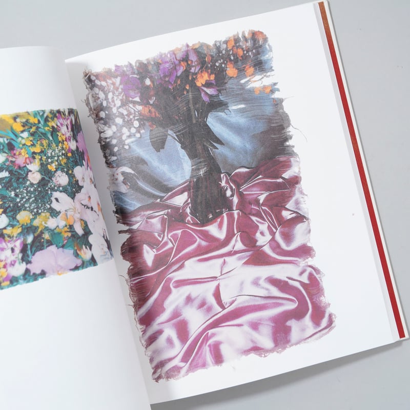 遠藤文香 Swaying Flowers サイン入りポストカード付き 750部限定／サイン入りポストカード付】Swaying Flowers 遠藤
