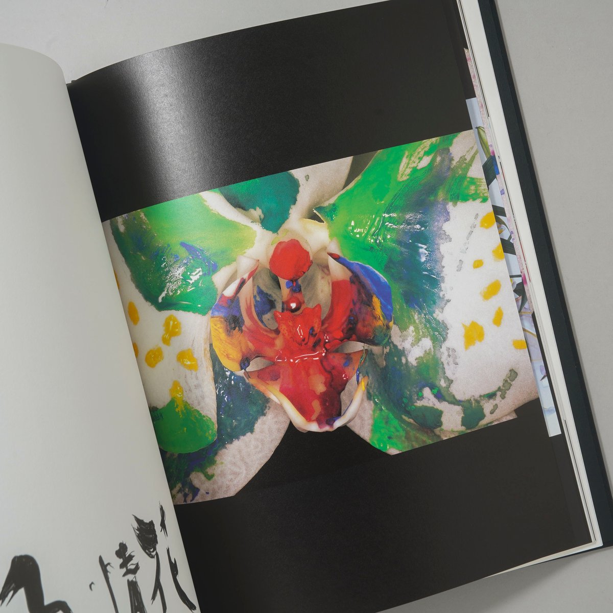 花人生 特別装丁版 / 荒木経惟(Nobuyoshi Araki) | bookobscura