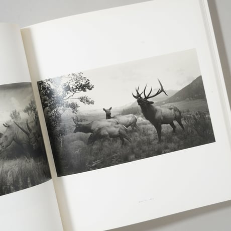 HIROSHI SUGIMOTO / 杉本博司（ Hiroshi Sugimoto）