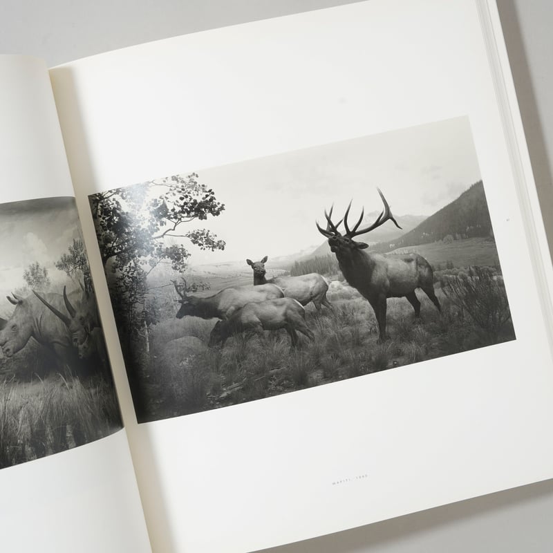 HIROSHI SUGIMOTO / 杉本博司（ Hiroshi Sugimoto） | bo