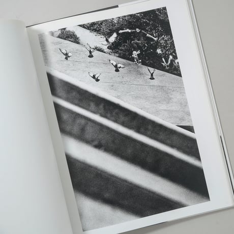 Attraper au vol Catch in the Air / Fred Mortagne(フレッド・モルターニュ)